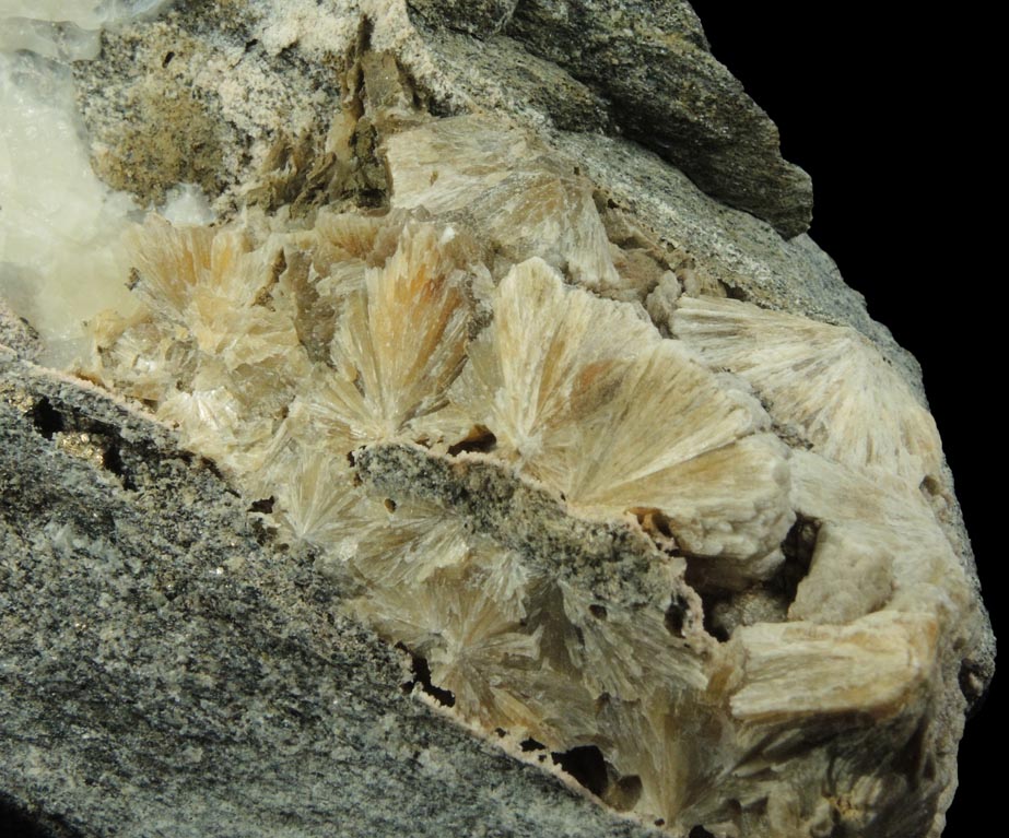 Pyrite and Stilbite-Ca in Calcite-filled vein from Harlem Meer, in the northeast corner of Central Park, New York City, New York County, New York