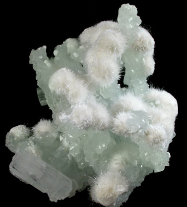 Okenite on Prehnite with Apophyllite from Malad, Maharashtra, India