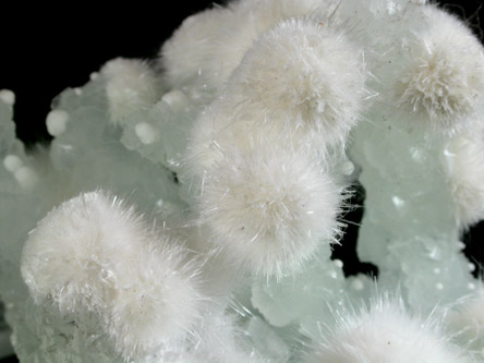 Okenite on Prehnite with Apophyllite from Malad, Maharashtra, India