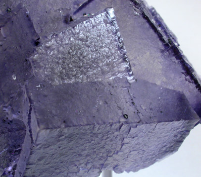 Fluorite on Sphalerite from Elmwood Mine, Carthage, Smith County, Tennessee