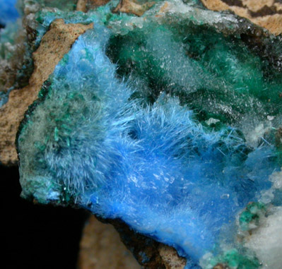 Cyanotrichite with Brochantite from Mina Vieja, Potrerillos, Atacama, Chile