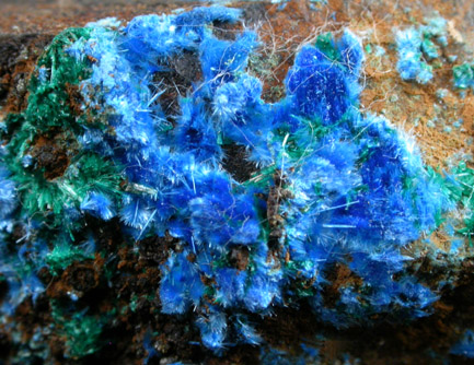 Cyanotrichite with Brochantite from Mina Vieja, Potrerillos, Atacama, Chile