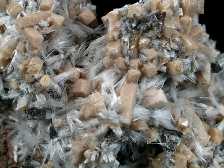 Olmiite and Bultfonteinite from N'Chwaning Mine, Kalahari Manganese Field, Northern Cape Province, South Africa (Type Locality for Olmiite)