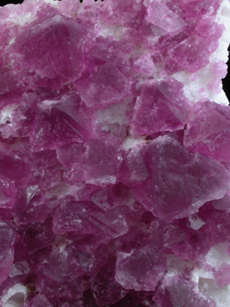 Fluorite on Quartz from Mina Navidad, 19 km northwest of Abasolo, Durango, Mexico