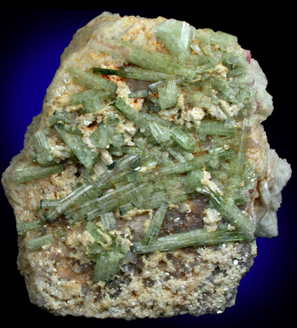 Elbaite Tourmaline on Albite var. Cleavelandite from Mount Mica Quarry, Paris, Oxford County, Maine