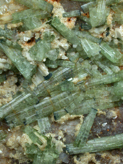 Elbaite Tourmaline on Albite var. Cleavelandite from Mount Mica Quarry, Paris, Oxford County, Maine