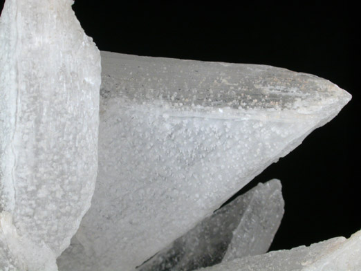 Gypsum var. Selenite from Chihuahua, Mexico