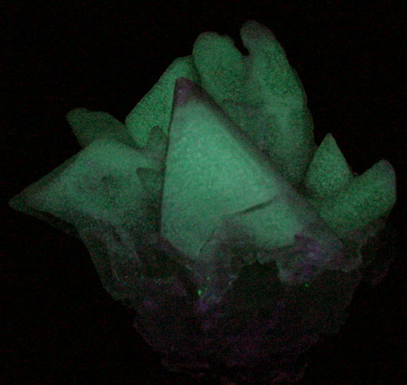 Gypsum var. Selenite from Chihuahua, Mexico