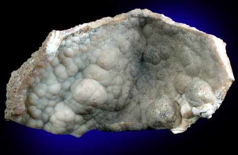 Quartz var. Agate pseudomorphs after Coral (Tampa Bay Coral) from Ballast Point, Tampa Bay, Hillsborough County, Florida