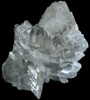 Gypsum var. Selenite from Naica District, Saucillo, Chihuahua, Mexico