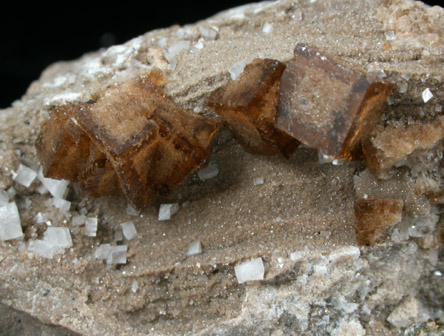 Fluorite from Pugh Quarry (France Stone Co. Custar Quarry), 6 km NNW of Custar, Wood County, Ohio