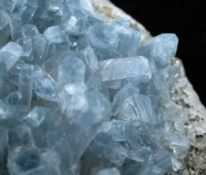 Celestine from Pugh Quarry (France Stone Co. Custar Quarry), 6 km NNW of Custar, Wood County, Ohio