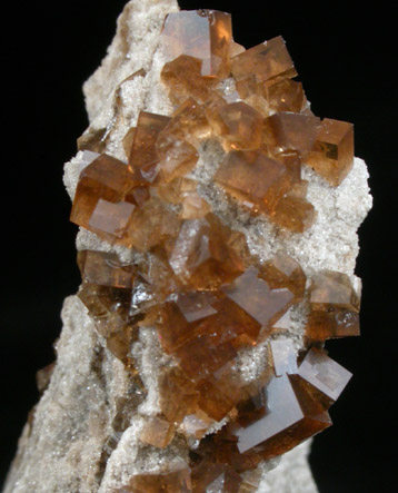 Fluorite from Pugh Quarry (France Stone Co. Custar Quarry), 6 km NNW of Custar, Wood County, Ohio