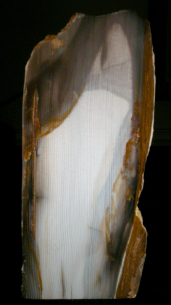 Quartz var. White Cedar from Yakima Basalt Formation, Washington