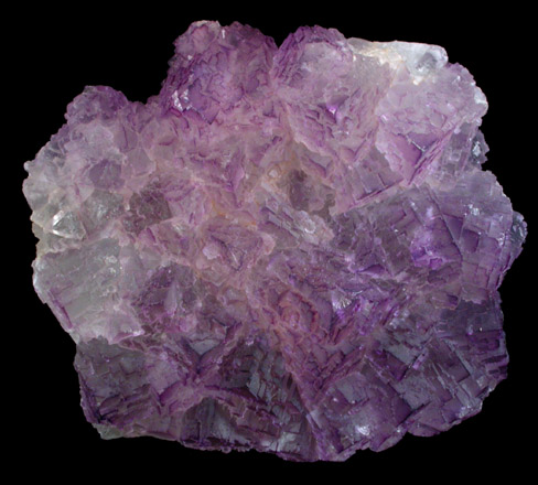 Fluorite from Mina el Tule, Melchor Mzquiz, Coahuila, Mexico