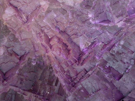 Fluorite from Mina el Tule, Melchor Mzquiz, Coahuila, Mexico