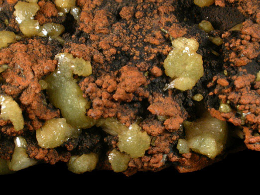 Adamite on Limonite from Mina Ojuela, Mapimi, Durango, Mexico