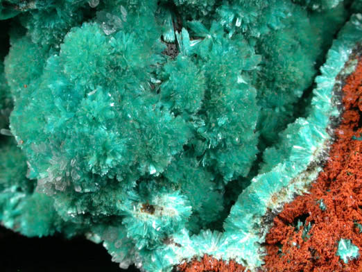 Aurichalcite from Mina Ojuela, Mapimi, Durango, Mexico