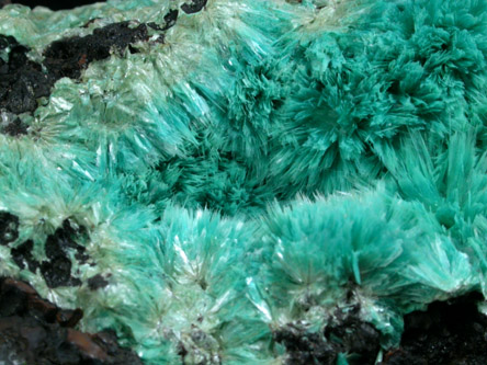 Aurichalcite from 79 Mine, Banner District, near Hayden, Gila County, Arizona