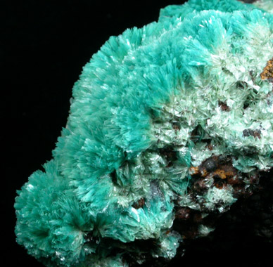 Aurichalcite from 79 Mine, Banner District, near Hayden, Gila County, Arizona