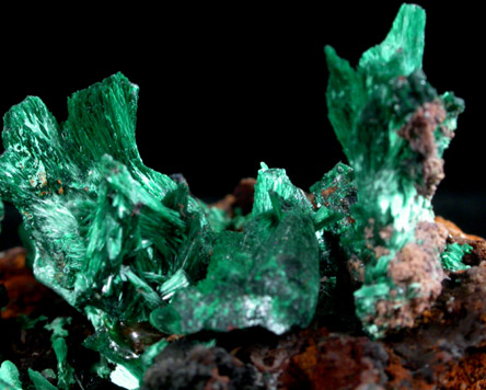 Malachite from Bisbee, Warren District, Cochise County, Arizona