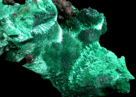 Malachite from Bisbee, Warren District, Cochise County, Arizona