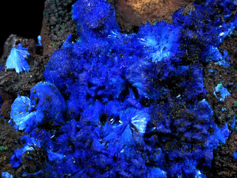 Azurite from Copper Queen Mine, Bisbee, Warren District, Cochise County, Arizona