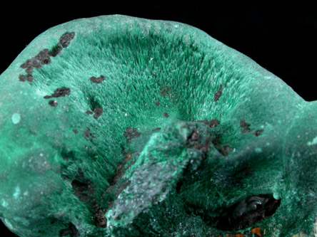 Malachite from Copper Queen Mine, Bisbee, Warren District, Cochise County, Arizona