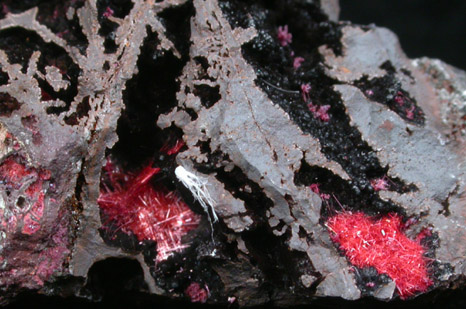 Cuprite var. Chalcotrichite from Bisbee, Warren District, Cochise County, Arizona