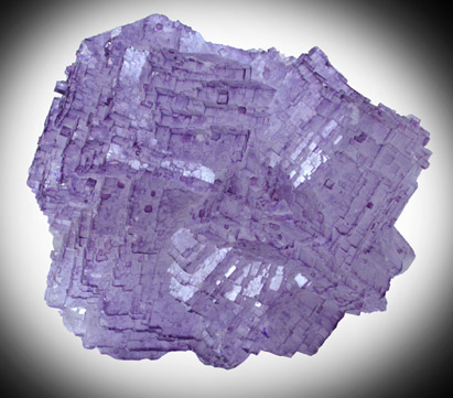 Fluorite from Melchor Muzquiz, Coahuila, Mexico