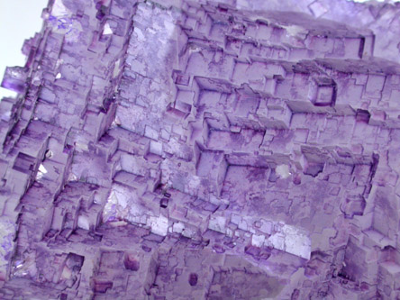 Fluorite from Melchor Muzquiz, Coahuila, Mexico