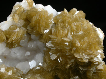 Siderite on Quartz from Le Burg Mine, Alban, Tarn, France