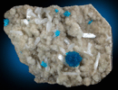 Cavansite on Quartz from Wagholi Quarry, Maharashtra, India