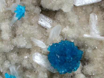 Cavansite on Quartz from Wagholi Quarry, Maharashtra, India