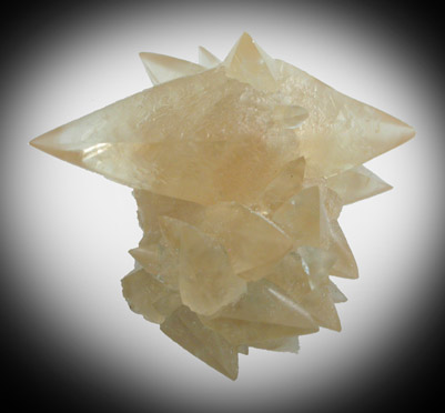 Calcite from Pugh Quarry (France Stone Co. Custar Quarry), 6 km NNW of Custar, Wood County, Ohio