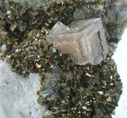 Fluorite on Marcasite from Pugh Quarry (France Stone Co. Custar Quarry), 6 km NNW of Custar, Wood County, Ohio