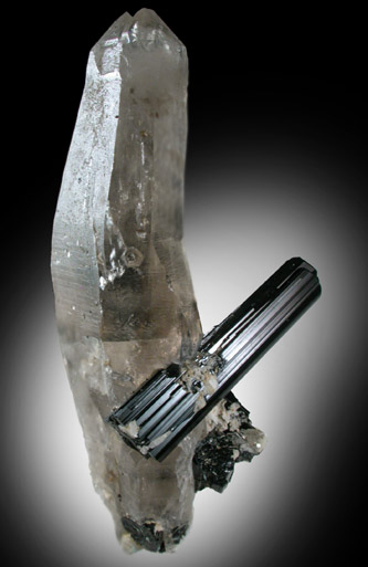 Schorl Tourmaline in Quartz from Minas Gerais, Brazil