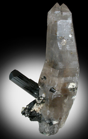 Schorl Tourmaline in Quartz from Minas Gerais, Brazil