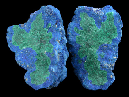 Azurite and Malachite (nodule) from Blue Ball Mine, 4.8 km south of Miami, Gila County, Arizona