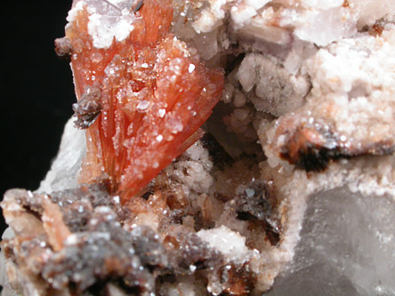 Hubeite, Inesite, Apophyllite, Quartz from Fengjiashan Mine, Daye District, Huangshi, Hubei Province, China (Type Locality for Hubeite)