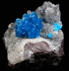 Cavansite on Stilbite from Wagholi Quarry, Maharashtra, India