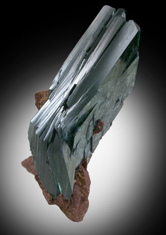 Vivianite from Tomokoni Adit, near Canutillos Mine, Potosi Department, Bolivia