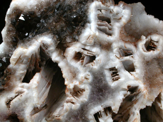 Quartz var. Amethyst with casts after Anhydrite from Prospect Park Quarry, Prospect Park, Passaic County, New Jersey