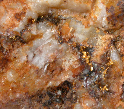 Gold in Quartz from Warwicke Canyon, Delmar, Lincoln County, Nevada