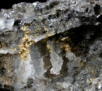 Gold on Sphalerite and Galena from Schneeberg District, Erzgerbirge, Saxony, Germany