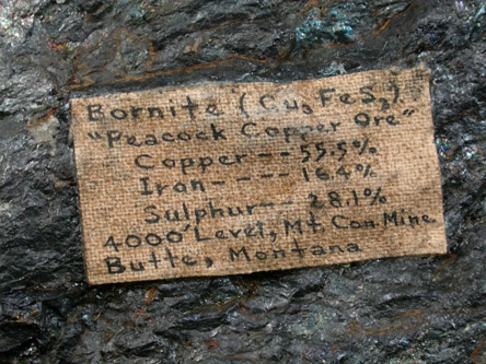 Bornite from Mountain Con Mine, 4000' level, Butte Mining District, Summit Valley, Silver Bow County, Montana