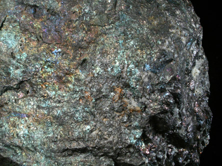 Bornite from Mountain Con Mine, 4000' level, Butte Mining District, Summit Valley, Silver Bow County, Montana
