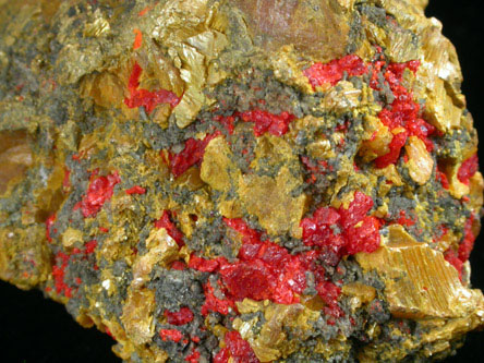 Orpiment and Realgar from White Caps Mine, Manhattan District, Nye County, Nevada