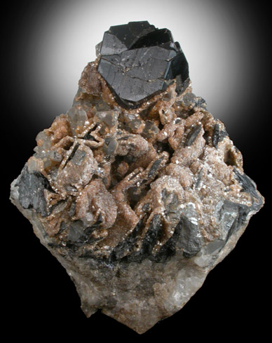 Cassiterite var. Zinnwald Twin from Zinnwald-Cnovec District, Erzgebirge, Saxony-Bohemia border region, Germany-Czech Republic