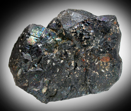 Columbite-(Fe) from Morefield Mine, Amelia Court House, Amelia County, Virginia